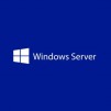 Windows Server CAL 2025 English 1pk DSP OEI 1 Clt Device CAL