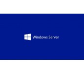 Windows Server CAL 2025 English 1pk DSP OEI 1 Clt Device CAL