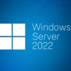 Dell Microsoft Windows Server 2022 Essentials Edition, ROK, 10CORE, Only for DELL SERVERS,  for Small businesses with up to 25 users and 50 devices, Up to 10 cores and 1 VM on single-socket servers.